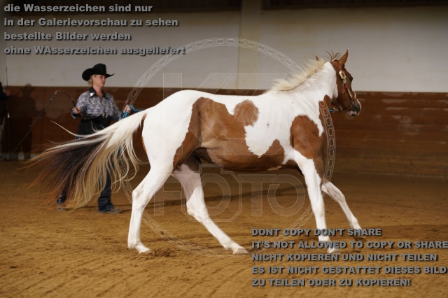s_K3F01775.JPG